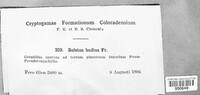 Image Associated With the Occurence